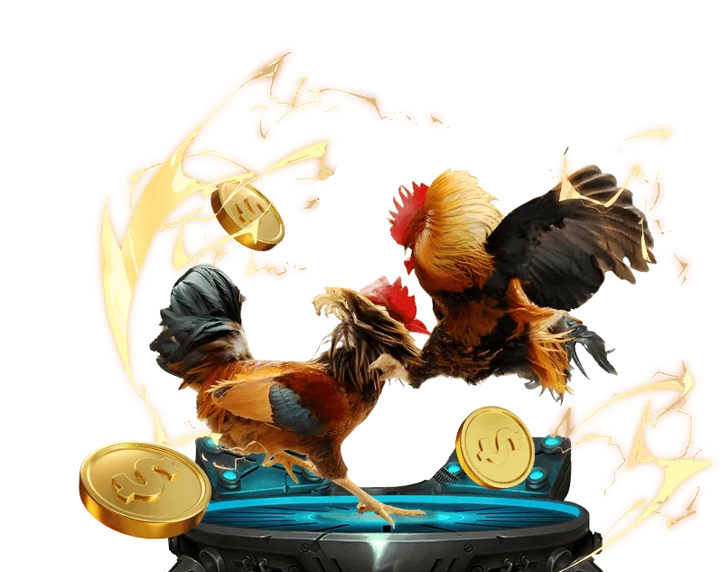 Các loại hình đá gà phổ biến trên OneNhacai